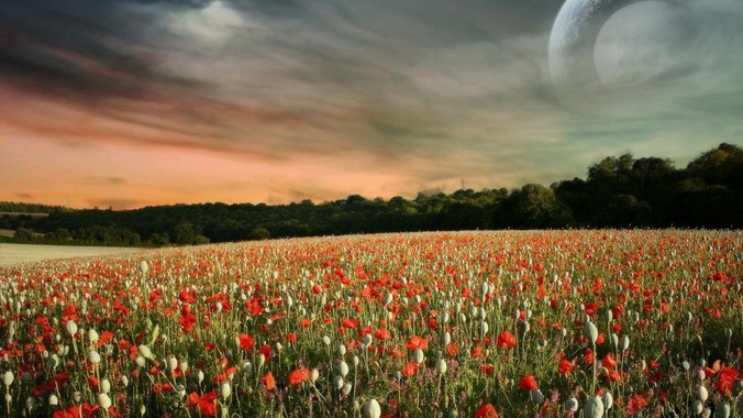 在武汉，你们的找对象标准是怎样的？